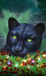 Blue Panther -CE