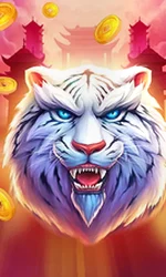 Luck of Tiger