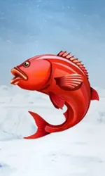 Ice Fishing